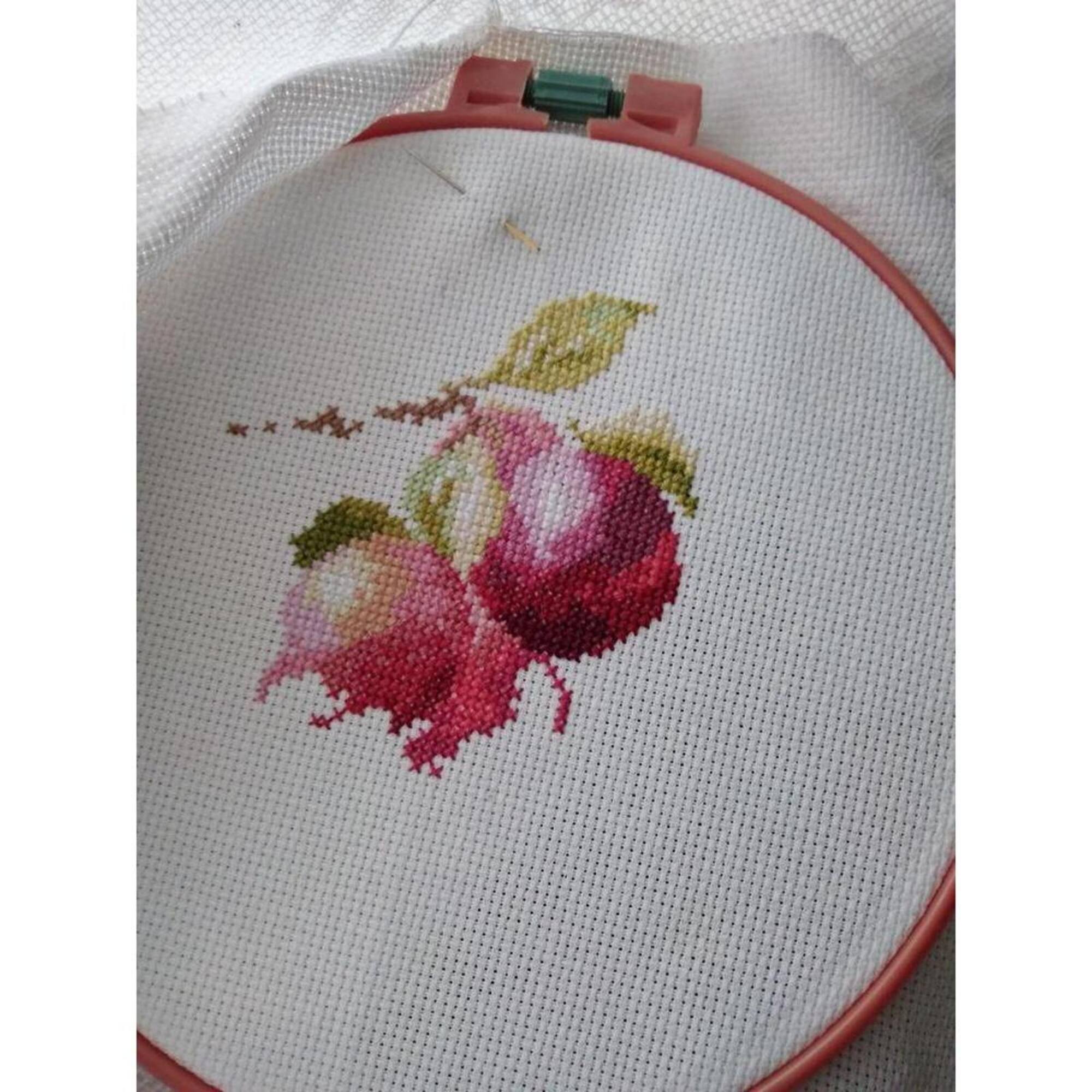 Alisa Warblers & Plums Cross Stitch Kit